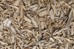 biomass boilers Dunstable